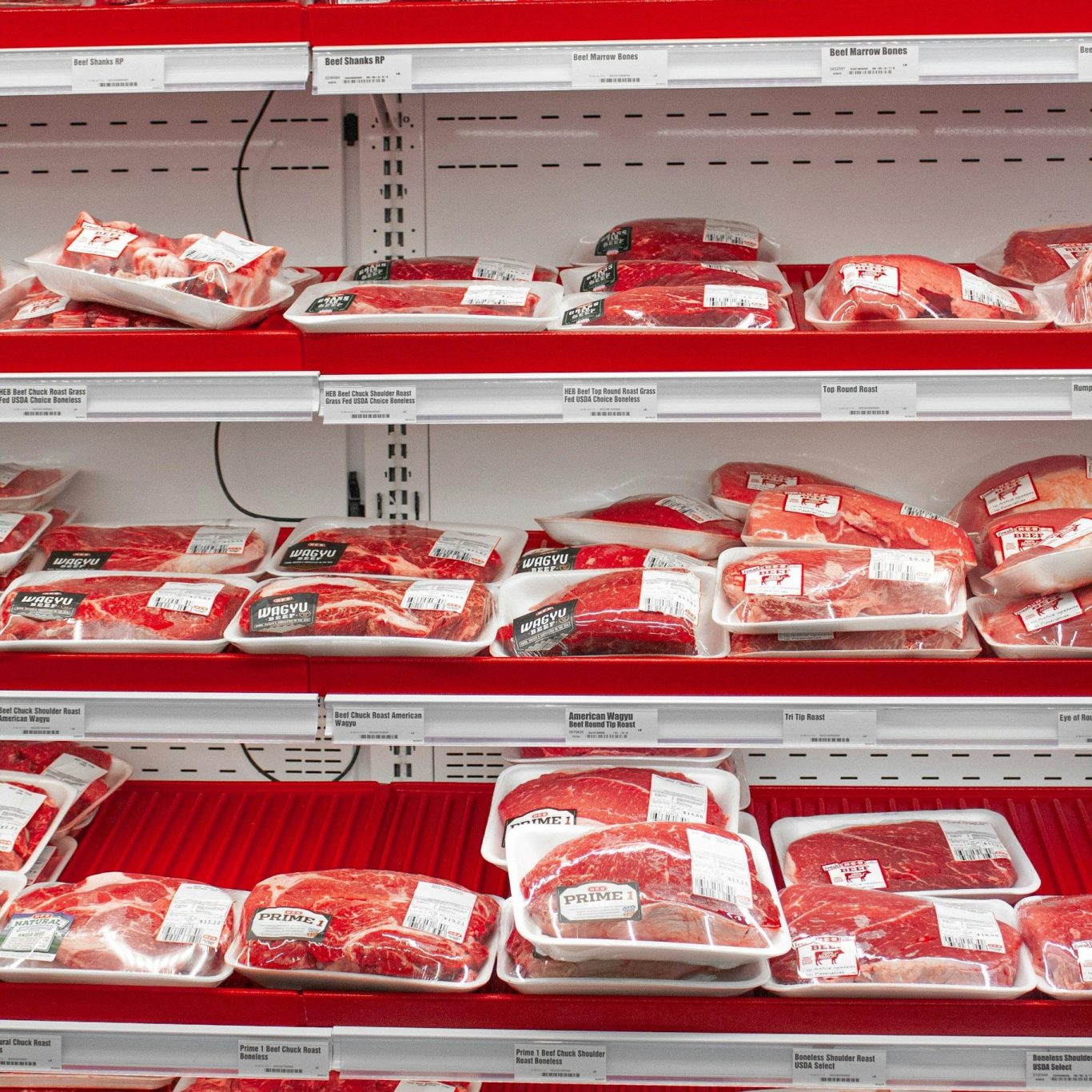 Hanging beef carcasses in chiller